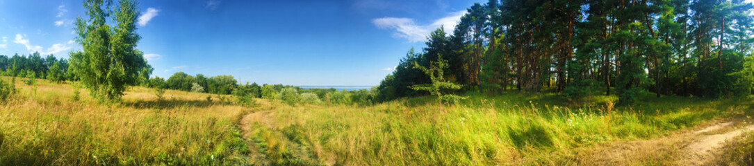 Beautiful panorama of meadow and edge of forest near Kaniv Reservoir shore, Ukraine