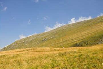 Fototapeta premium A hillside meadow on a sunny day with some clouds in the sky (Sibillini, Marche, Italy)
