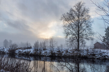 Naklejka na ściany i meble Foggy day with a tree reflecting in a calm river.