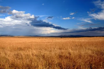 Foto op Aluminium Sunset savanna landscape with dramatic cloudy sky. Maasai Mara National Reserve, Kenya. © Kirill