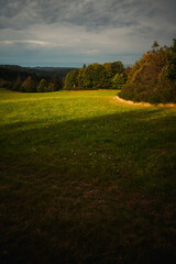 frisch gemähte Wiese am Waldrand während in goldenem Sonnenlicht