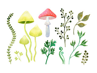 Watercolor set of magic mushrooms and green leaves isolated on a white background. Hand drawn illustration. Wild forest clip art: grass, fly agaric, branches, botanical decorative elements