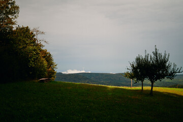 Fototapeta na wymiar Gründe Wiese mit bewölkter Berglandschaft im Hintergrund