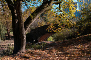 The Old Stone Gapstow Bridge over the Pond during Autumn at Central Park in New York City