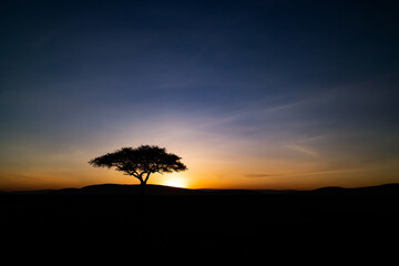 African sunset with silhouette tree