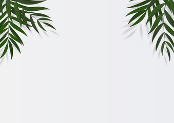 Naklejka na ściany i meble Abstract Realistic Green Palm Leaf Tropical Background. Vector illustration EPS10