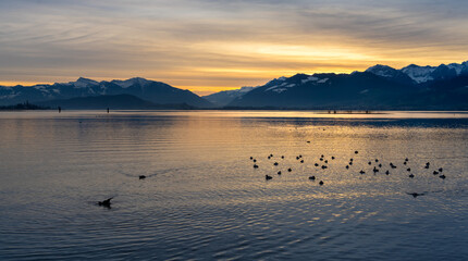 Stunning sunset landscapes along the idyllic shores of the Upper Zurich Lake (Obersee), near Rapperswil, St. Gallen, Switzerland