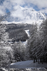 Fototapeta premium winter in the mountains