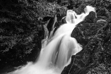 Waterfall at Crawfordsburn, Northern Ireland, UK