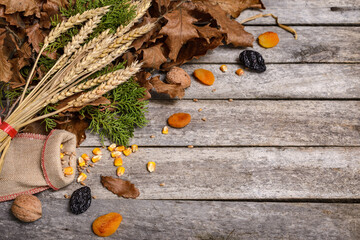 Christmas oak tree and dried fruits