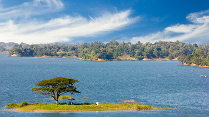 A small island with a large tree in a river with mountains