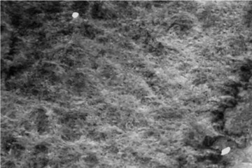 Abstract black background, elegant black, and grey textured vintage design, black grunge abstract snow background. Copy space. 