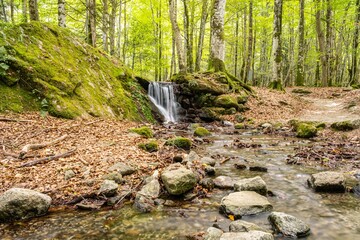 energia verde © marc