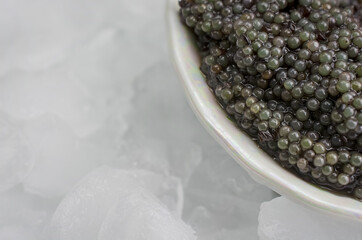 Fresh  black  caviar in bawl on  ice