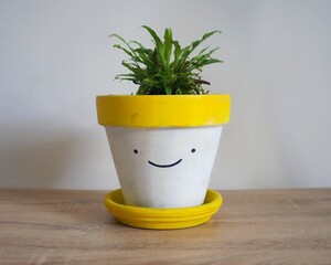 Yellow and white smiling face indoor plant pot with a birds nest fern growing from the top