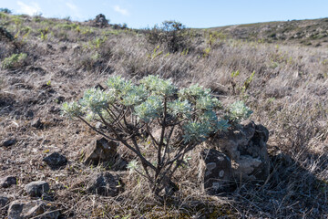 Wandern auf La Gomera