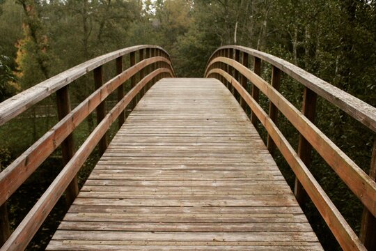 Puente de madera