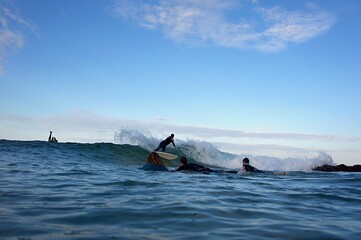 A surfer performs a cutback at Snapper Rocks on The Gold Coast