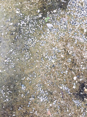 water flowing into the water