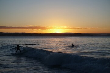 Naklejka na ściany i meble A young female surfer learns how to surf at sunset on the Gold Coast