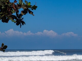 A male surfer heading down the face of a large 9ft wave in tropical waters - Bali
