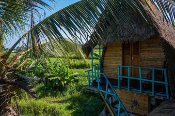 A tree house lays in the tree tops surrounded by rice paddies in Indonesia