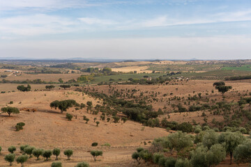 Fototapeta na wymiar Alentejo beautiful green and brown landscape with olive and cork trees in Terena, Portugal