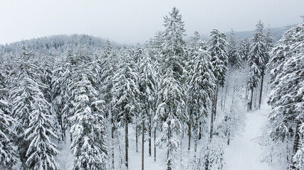 Schwarzwald Wald mit Schnee Vogelperspektive