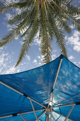 blue umbrella from the sun palm trees and the sky in the clouds