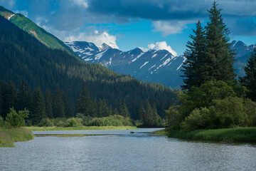 Andrew Creek, Stikine River Area near Wrangell, Alaska