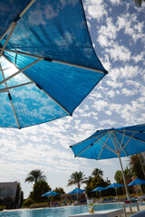 Fototapeta na wymiar blue umbrella from the sun palm trees and the sky in the clouds