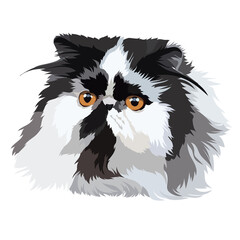  Persian cat black and white vector illustration