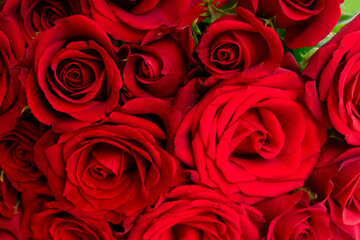 bouquet of dark red roses