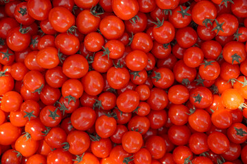 background from red ripe tomatoes grown without chemistry