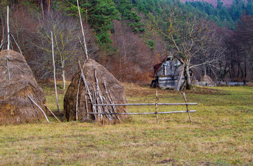 Hut in a pasture