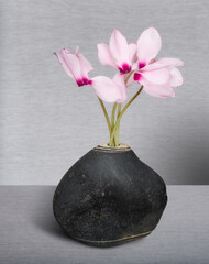 This common stone looks a lot like a vase. I added flowers - it turned out to be a still life.
