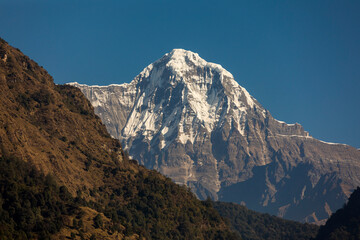 Himalayan mountain peak view from village (Annapurna peak in Nepal )