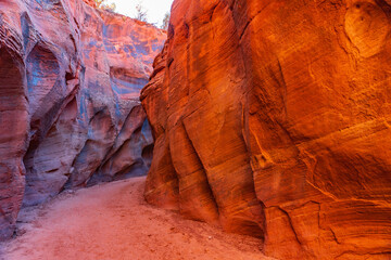 Reflected Light in Buckskin Gulch