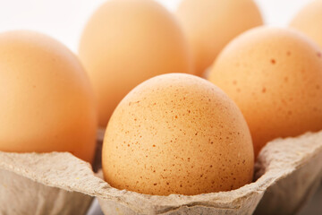 Brown eggs in egg box on white background.