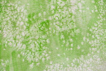 hintergrund, grün, aquarell, salztechnik, wiese, pflanze, weiße blüten, sterne, karten, platz für text, struktur, floral, aquarellfarben, blüte, urwald, natur, aquarellieren, aquarelltechnik, einladun