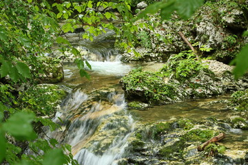 Naklejka na ściany i meble Mountain creek, Triglav National Park, Bohinj, Slovenia