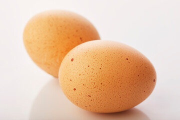 Brown eggs food on white background.