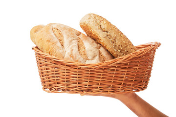 Human hand holding wheat beards with bucket isolated on white.