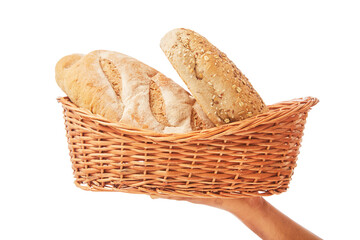 Human hand holding wheat beards with bucket isolated on white.