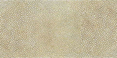 Abstract light shagreen stingray skin texture