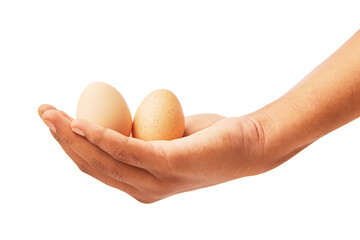 Hand with egg isolated on white.