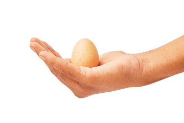 Hand with egg isolated on white.