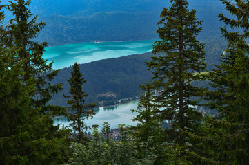 Ein Alpsee von oben