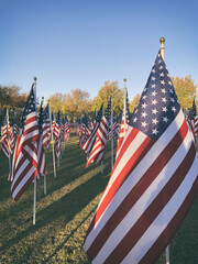 Row of American flags standing in the green field. Veterans Day display. Blue sky background.  