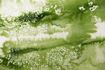 Hintergrund, grünes Aquarell mit Salztechnik wirkt wie eine Wiese oder Pflanze mit  weiße Blüten  oder Sternen